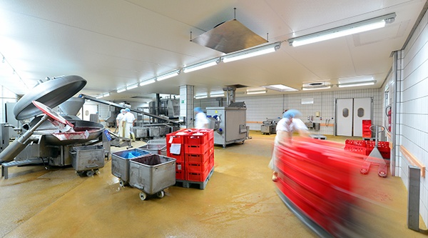 Sanitation in Food Processing